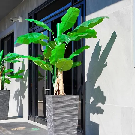 El Pamas Hotel Mugnano di Napoli